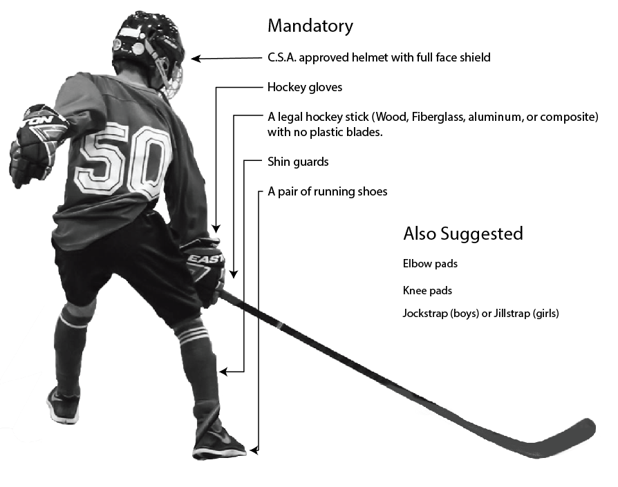 Edmonton Minor Ball Hockey Website By Ramp Interactive